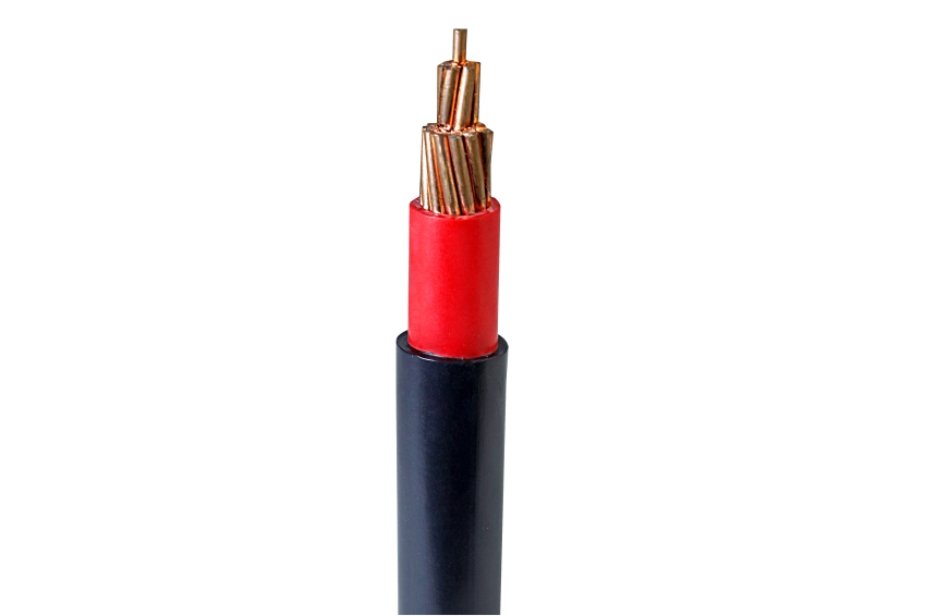 Zenium Cable